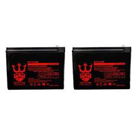12V 10AH Battery for Lashout 24 Volt 400 Watt Scooter by Neptune - 2 Pack