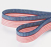 Alimed SkiL-Care Stars & Stripes Gait Belts (60" Plastic Buckle, Stars 'N Stripes)