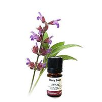 Clary Sage 100% Pure Essential Oil 250ml