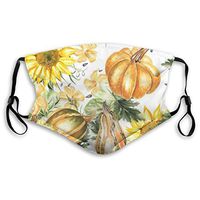 Face Cloths Pumpkin Sunflowers Reusable Face Cover With Replaceable PM 2.5 Activated Carbon Filter Ear Loops For Traveling Climbing