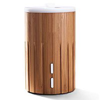 ZAQ Bamboo LiteMist Aromatherapy Diffuser with Multicolor LED and 100 ml Capacity