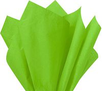 Flexicore Packaging Citrus Green Gift Wrap Tissue Paper Size: 15 Inch X 20 Inch | Count: 100 Sheets | Color: Citrus Green