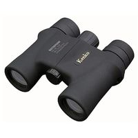 Kenko BN-097643 New SG 10x25DH II SGWP Binocular