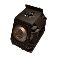 UNISHINE BP96-00677A Replacement Lamp with Housing for Samsung TVs