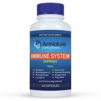 Immune System Support- Superior Anti-Oxidant and Immune System Booster with 20 Immune System Vitamins, Minerals, Herbs and Other Nutrients, 60 Capsules
