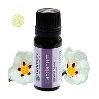 Labdanum Essential Oil - Pure and Natural Oil 10 Ml