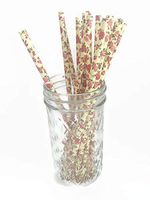 100 Count Size 7 3/4 inch Red Tea Rose Paper Drinking Straw Baking Sticks Cake Pop Sticks For Cake Pops Lollipops Crafts Cupcake Toppers Rock Candy and Brownie Pops