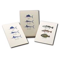 Earth Sky + Water - Saltwater Fish Assortment Notecard Set - 8 Blank Cards with Envelopes (4 each of 2 styles)