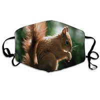Face Mask Squirrel Tree Fantastic Cycling Half Face Earloop Dust Mask for Girls
