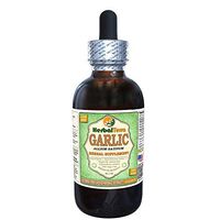 Garlic (Allium Sativum) Glycerite, Organic Dried Alcohol-Free Liquid Extract (Brand Name: HerbalTerra, Proudly Made in USA) 2 fl.oz (60 ml)