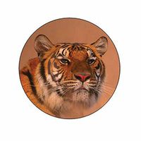 Siberian Tiger Face Stickers - Gift Bag or Envelope Seals - Animal Theme Stationery Design - Party Favor Supplies - Set of 24