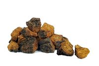 Chaga Mushroom Wild Harvested Chunks Canadian Chaga 100g