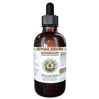 Motherwort Alcohol-Free Liquid Extract, Motherwort (Leonurus Cardiaca) Dried Herb Glycerite Natural Herbal Supplement, Hawaii Pharm, USA 4 oz