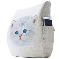 SPLY DTEM Memory Foam Back Support Pad - Designed for Back Pain Relief - Waist Pillow with Advanced Adjustable Shoulder Strap - Hypoallergenic Ventilation mesh.