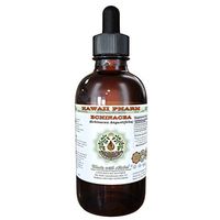 Echinacea Alcohol-FREE Liquid Extract, Echinacea (Echinacea Angustifolia) Dried Root Glycerite Herbal Supplement 2oz
