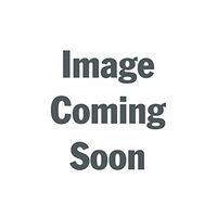 Fun Express - Brown Paper Gift Bags (med) - Party Supplies - Bags - Paper Gift W & Handles - 12 Pieces