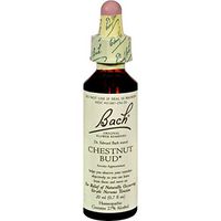 Bach Flower Remedies Essences Chestnut Bud - 0.7 fl oz Bach Flower Remedies Essences Chestnut Bud -