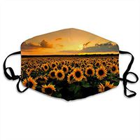 SunflowerDust Mouth Adjustable Windproof Ear Loops Breathable Reusable Face for Kids Teens Men Women
