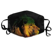 Gentleman Lion of Jamaica Reggae Dust Mask,Washable and Reusable Cleaning Gardening Outdoor Activities Warm Windproof Mask