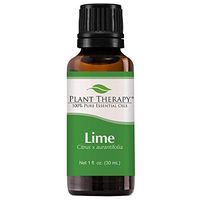 Plant Therapy Lime Essential Oil 30 mL (1 oz) 100% Pure, Undiluted, Therapeutic Grade