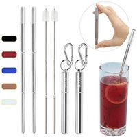 Skoloo Collapsible Reusable Straws, Stainless Steel Metal Straws with Case Keychain & Cleaning Brush & Silicone Tip, Silver Case (2 Pack)