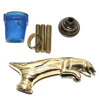 Eve.Store Jaguar Handle Walking Stick Cane Solid Brass Handle Wooden Black Stick Cane