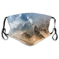 Mouth Masks for Dust Protection Anti Face Mask Washable Earloop Mask Activated Carbon Filter