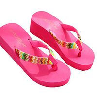 CieKen Summer Sexy Flip Flops Women Bohemian High Platform Summer Wedge Thong Slippers Women (Hot Pink, US: 6)