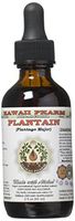 Plantain Alcohol-FREE Liquid Extract, Organic Plantain (Plantago major) Dried Leaf Glycerite Natural Herbal Supplement, Hawaii Pharm, USA 2 fl.oz