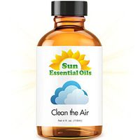 Clean The Air Essential Oil (Huge 4oz Bottle) Bulk Clean The Air Oil - 4 Ounce