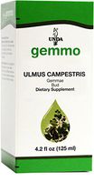 UNDA Gemmo Therapy - Ulmus Campestris - European Field Elm Bud Extract - 4.2 fl. oz.