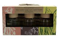 Mini Reed Diffuser Gift Set - Set of 3 Set