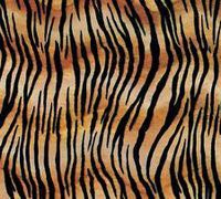 Tiger Stripe Tissue Paper for Gift Wrapping 20"x30" Sheets Animal Print Safari (5 ct)