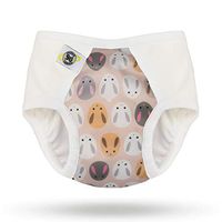 Pull-on Undies 2.0 Stretchy Waterproof Potty Training Pants and Toilet Training Underwear (Large, Bunny)