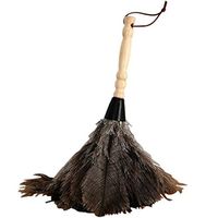 ZHANGY Spider Web Dust Collector - Ostrich Feather Wood Handle, Spider Web Dust Collector/Anti-Static Car/Home Dust Dirt Cleaning Tool