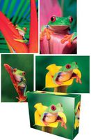 Frogs Frogs Frogs Boxed Note Cards