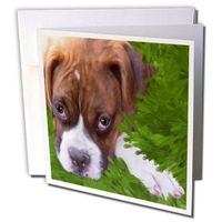 3dRose Boxer Puppy - Greeting Cards, 6 x 6 inches, set of 12 (gc_11978_2)