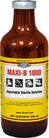 Maxi-B 1000