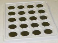 20PC Energizer CR2016 Watch Batteries 3V Lithium CR 2016 DL2016 BR2016