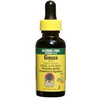 Nature's Answer Ginger Root, 1 Ounce (Pack of 12)