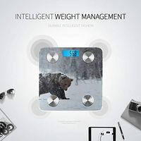 Brown Bear Walking in The Snow Weight Loss Scale Digital Scales Body Bodyfat Scale Tracks 8 Key Compositions Analyzer Sync with Fitness Apps 400 Lbs
