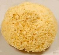 Natural Sea Sponge 6'' 15,5cm Large Greek Kalymnos