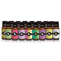 Flower Shop - Set of 16 Premium Fragrance Oils - Eternal Essence