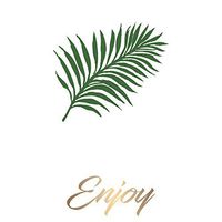 Enjoy Paper Guest Towel Set of 15-8 x 5 Inches