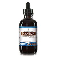 Plantain Alcohol-Free Liquid Extract, Organic Plantain (Plantago Major) Dried Leaf (4 FL OZ)