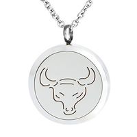 Aromatherapy Essential Oil Diffuser Necklace Perfume Fragrance Taurus Pendant Charms Locket