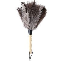 ZHANGY Soft Ostrich Feather Wood Handle Spider Web Dust Collector/Anti-Static Car/Home Dust Dirt Cleaning Tool 13 in