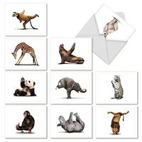 The Best Card Company - 10 Blank Yoga Note Cards Bulk (4 x 5.12 Inch) - Assorted Stick Figure and Animals Cards - Zoo Yoga M6547OCB
