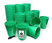 Rolling Sands 16 Ounce Reusable Plastic Stadium Cups Green, Bulk 50 Pack, Made in USA, BPA-Free Dishwasher Safe Plastic Tumblers and Bottle Opener