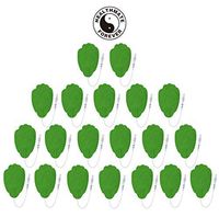 10 Pairs of Pin-Inserted High Quality Replacement Large Hand-Shaped Electrode Massaging Pads for HealthmateForever Portable Electrotherapy Devices (Green)